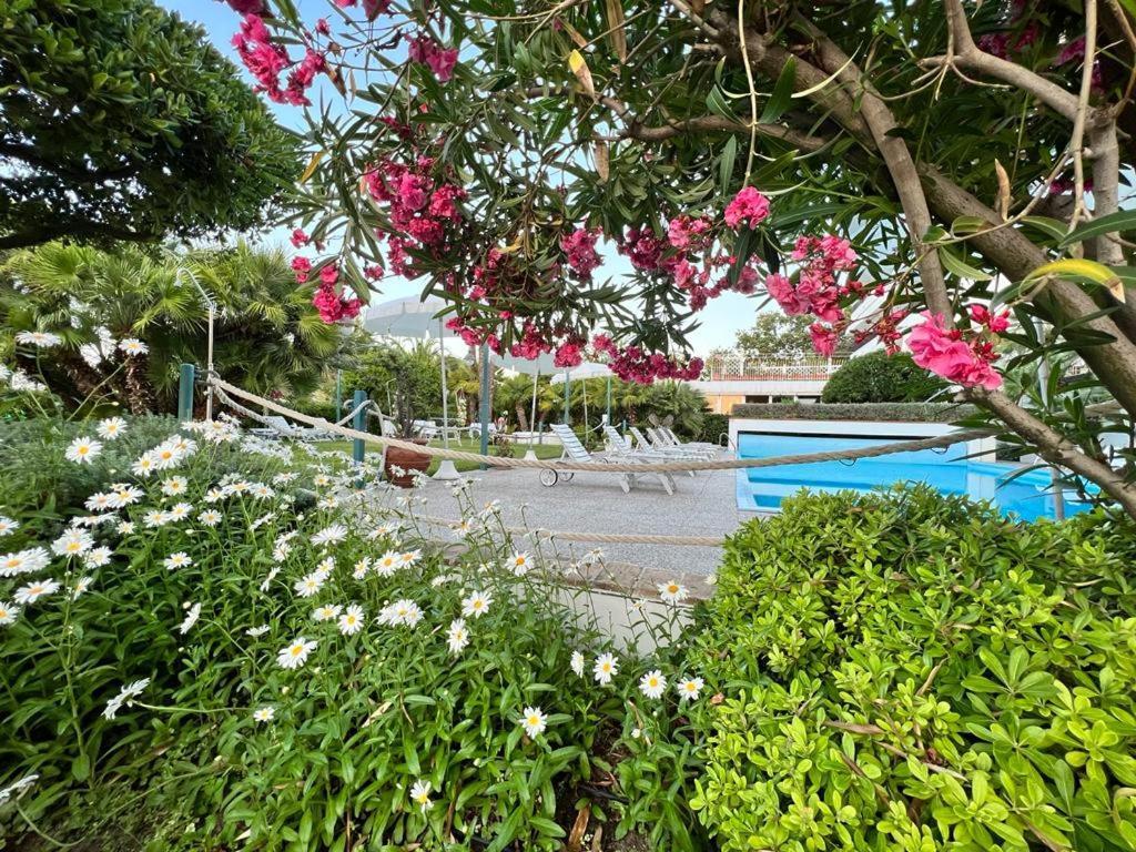Hotel Parco Delle Rose Silvi Marina Exterior foto