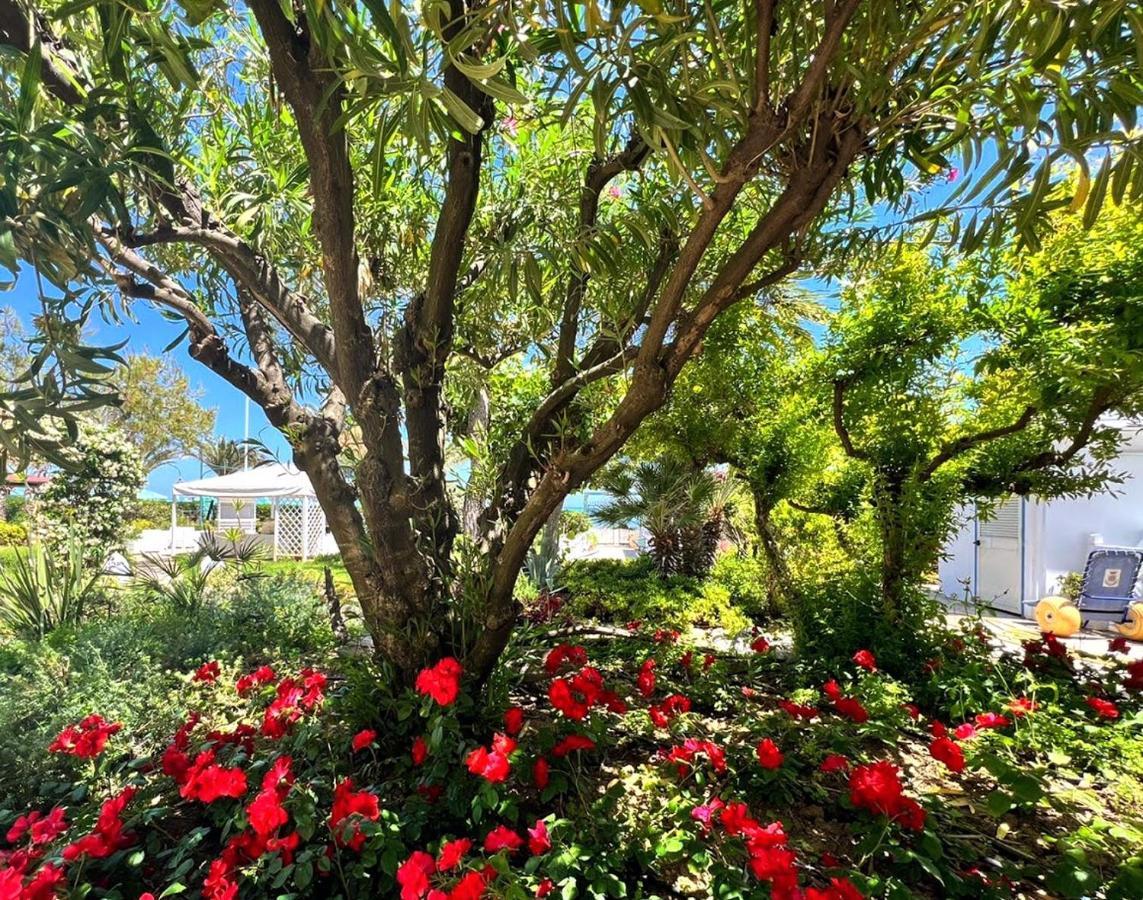 Hotel Parco Delle Rose Silvi Marina Exterior foto